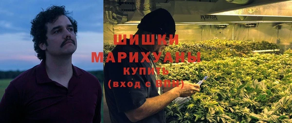 тгк Володарск