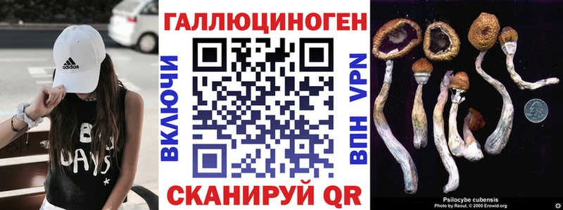 Галлюциногенные грибы MAGIC MUSHROOMS  кракен ONION  Лермонтов  как найти закладки 